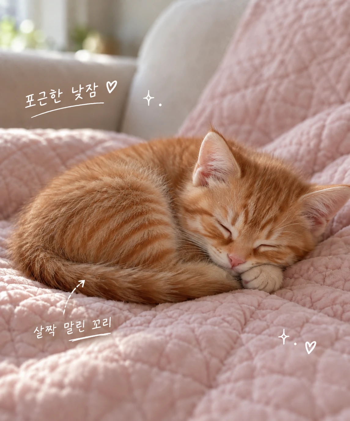 분홍 이불 위 고양이 낮잠 — 손글씨 메모가 더해진 완성본